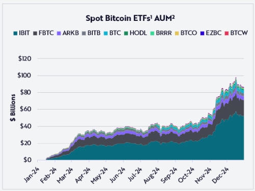 Spot Bitcoin ETF AUM Ark Invest Big Ideas 2025