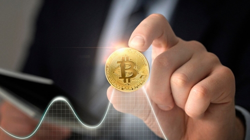 Freepik Bitcoin reserve