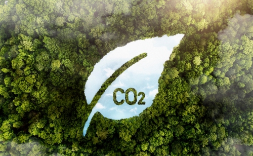 Freepik greenwashing claims Freepik greenwashing claims