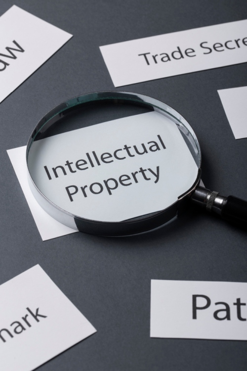 Freepik intellectual property