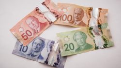 Unsplash PiggyBank, Canadian bills