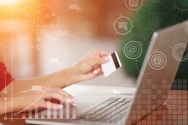 Freepik lyashenko, Payments data
