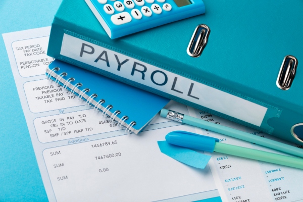 Freepik Blue payroll binder Freepik Blue payroll binder