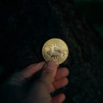 Can Cryptocurrency Ever Dominate the Ecommerce Sector?