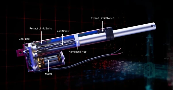 Acuator cross section